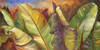 Through the Leaves I Poster Print by Patricia Pinto - Item # VARPDX8860