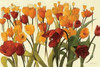 Tulipomania Poster Print by Shirley Novak - Item # VARPDX5703