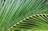http://c328301.r1.cf1.rackcdn.com/PDXCET19SMALL.jpg