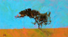 Desert Tree Poster Print by Paul Bailey - Item # VARPDXB3192D