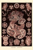 Haeckel Nature Illustrations: Sea Cucumbers- Rose Tint Poster Print by  Ernst Haeckel - Item # VARPDX449757