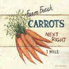 Farm Fresh Carrots Poster Print by David Carter Brown - Item # VARPDX3185