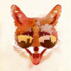 Big Town Fox Poster Print by Robert Farkas - Item # VARPDXF433D