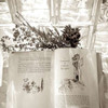 Holiday - 10 Poster Print by Alan Blaustein