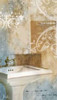 Bathroom and Ornaments II Poster Print by Patricia Pinto - Item # VARPDX7385