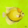 Bright Aquatic Life III Poster Print by Patricia Pinto - Item # VARPDX9212S