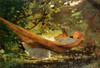 Sunlight And Shadow Poster Print by  Winslow Homer - Item # VARPDX373260
