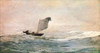 Blown Away Poster Print by  Winslow Homer - Item # VARPDX373208