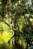 Winding River II Poster Print by Alan Hausenflock - Item # VARPDXPSHSF402