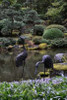 Japanese Gardens V Poster Print by Brian Moore - Item # VARPDXPSMRE142
