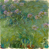 Agapanthe Poster Print by Claude Monet - Item # VARPDX1CM1530