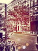 Downtown Poster Print by Acosta - Item # VARPDX9353A