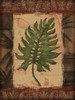 Tropical Leaf II Poster Print by Todd Williams