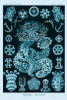 Haeckel Nature Illustrations: Sea Cucumbers - Blue-Green Tint Poster Print by  Ernst Haeckel - Item # VARPDX449753