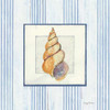 Sanibel Shell II Poster Print by Avery Tillmon - Item # VARPDX8913