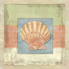 Montego Scallop Poster Print by Paul Brent - Item # VARPDXBNT213