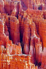 Hoodoos at Dawn Poster Print by Douglas Taylor - Item # VARPDXPSTLR190