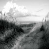 Dunes I Sq. BW Poster Print by Alan Hausenflock - Item # VARPDXPSHSF996