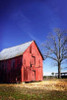 Old Tobacco Barn III Poster Print by Alan Hausenflock - Item # VARPDXPSHSF1610