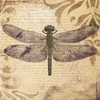 Dragonfly Poster Print by Patricia Pinto - Item # VARPDX8299