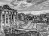 Ruins of the Roman Forum, Rome, Italy Poster Print by  Assaf Frank - Item # VARPDXAF20141111578XC02