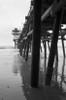 Pier Pilings XVII Poster Print by Lee Peterson - Item # VARPDXPSPSN144