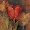 Tulip Reflection Poster Print by Albena Hristova - Item # VARPDX2686