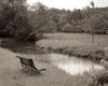 Banc de Jardin - 64 Poster Print by Alan Blaustein - Item # VARPDXABFRC164