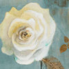 Late Summer Roses Poster Print by Lanie Loreth - Item # VARPDX7319B