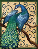 Majestic Peacock II Poster Print by Paul Brent - Item # VARPDXBNT531