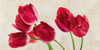 Tulip concerto Poster Print by Luca Villa - Item # VARPDX2LC1363