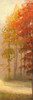 Fall Trees I Poster Print by Michael Marcon - Item # VARPDX7118G
