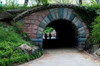 Bridge in Central Park Poster Print by Erin Berzel - Item # VARPDXPSBZL534