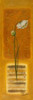 Metamorphosis I Poster Print by Patricia Pinto - Item # VARPDX6187