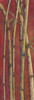 Red Bamboo II Poster Print by Patricia Pinto - Item # VARPDX5767