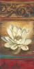 Red Eclecticism with Water Lily Poster Print by Patricia Pinto - Item # VARPDX7287Q