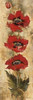 Strand of Poppies I Poster Print by Liz Jardine - Item # VARPDXJLP495 Strand of Poppies I Poster Print by Liz Jardine - Item # VARPDXJLP495