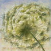 Be Green II Poster Print by  Patricia Pinto - Item # VARPDX7354A