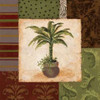 Potted Palm II Poster Print by Pamela Smith - Item # VARPDXSMI043