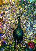 Fine Peacock Poster Print by Tiffany Studios - Item # VARPDX265612