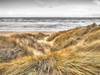 Tranquil beach with grass, Blackpool, UK Poster Print by  Assaf Frank - Item # VARPDXAF20150304541XC03