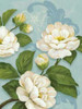 Camellias Poster Print by Pamela Gladding - Item # VARPDXGLA569