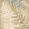 Majestic Ferns II Poster Print by Cynthia Coulter - Item # VARPDXRB10088CC