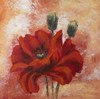 Poppy I Poster Print by Katharina Schottler - Item # VARPDXKS200706