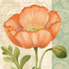 Pastel Poppies II Poster Print by Pamela Gladding - Item # VARPDXRB8741PG