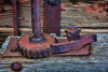 Train Details I Poster Print by Kathy Mahan - Item # VARPDXPSMHN383