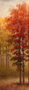 Fall Trees II Poster Print by Michael Marcon - Item # VARPDX7119E