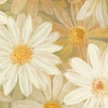 Daisy Story Square II Poster Print by Kathrine Lovell - Item # VARPDX2081