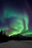 Aurora Borealis XIII Poster Print by Larry Malvin - Item # VARPDXPSMAL217