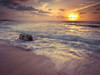 Beach at sunset Poster Print by  Assaf Frank - Item # VARPDXAF20101223134C04